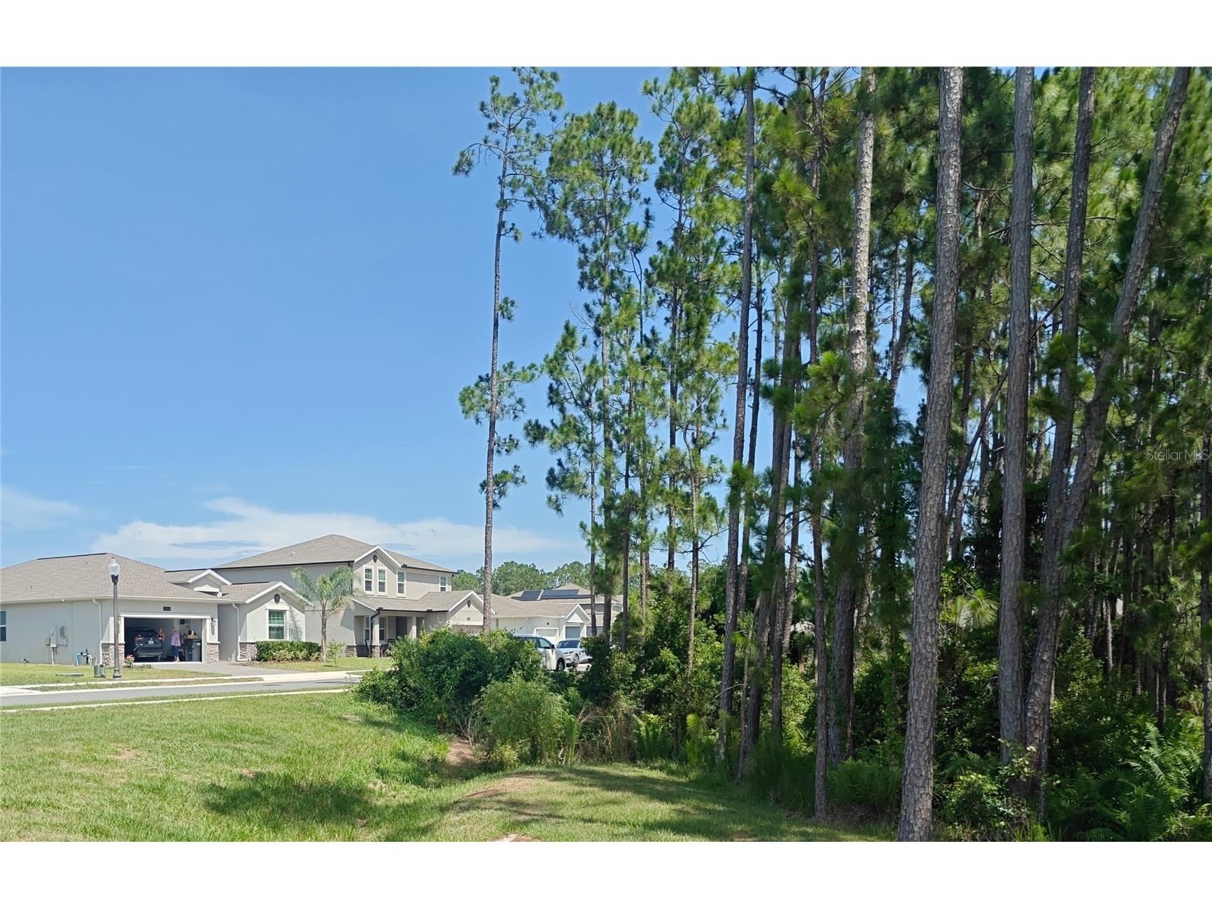 2856 Camden Way Davenport FL 33837 O6411062 image46