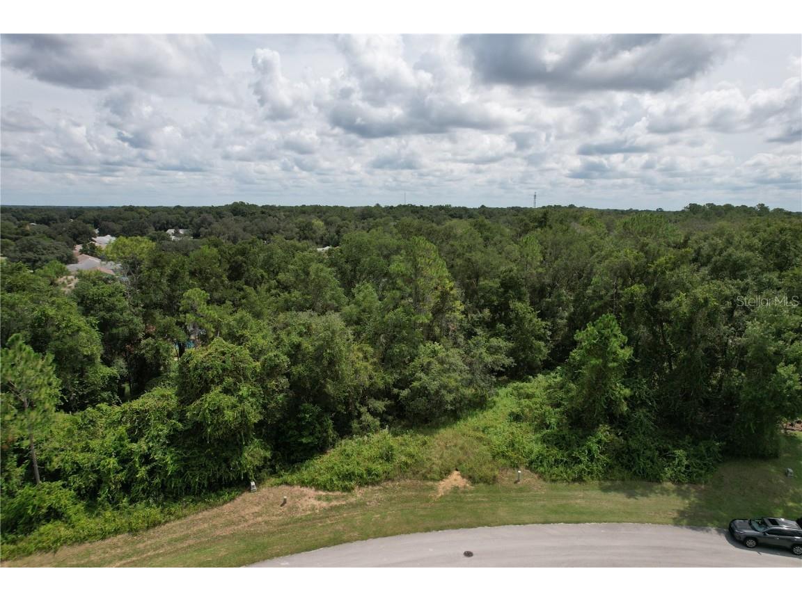 2856 E Chartwell Circle Hernando FL 34442 TB8425781 image3