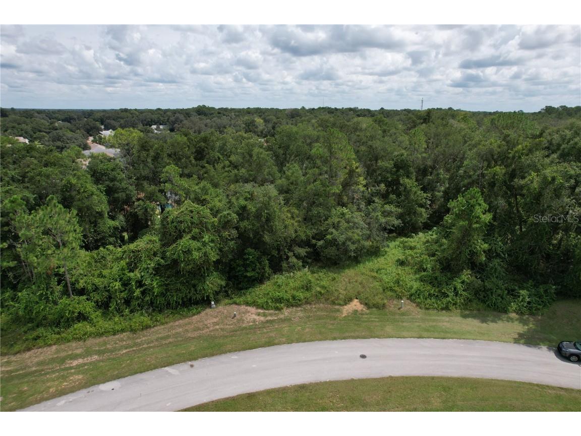 2856 E Chartwell Circle Hernando FL 34442 TB8425781 image4