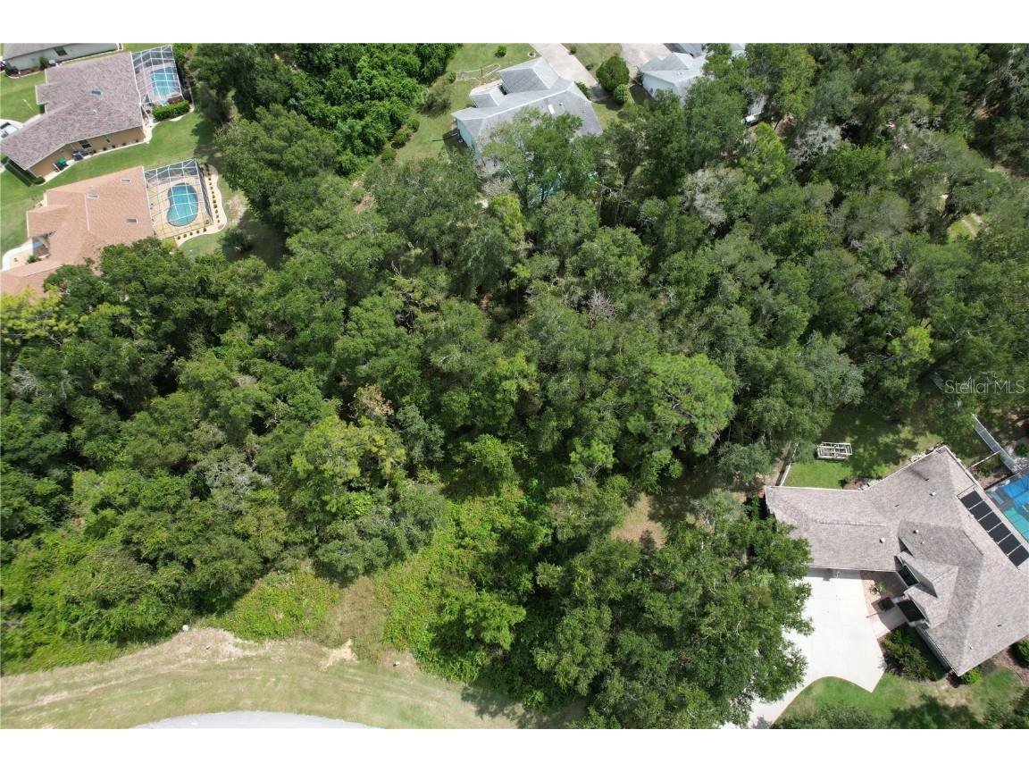 2856 E Chartwell Circle Hernando FL 34442 TB8425781 image5