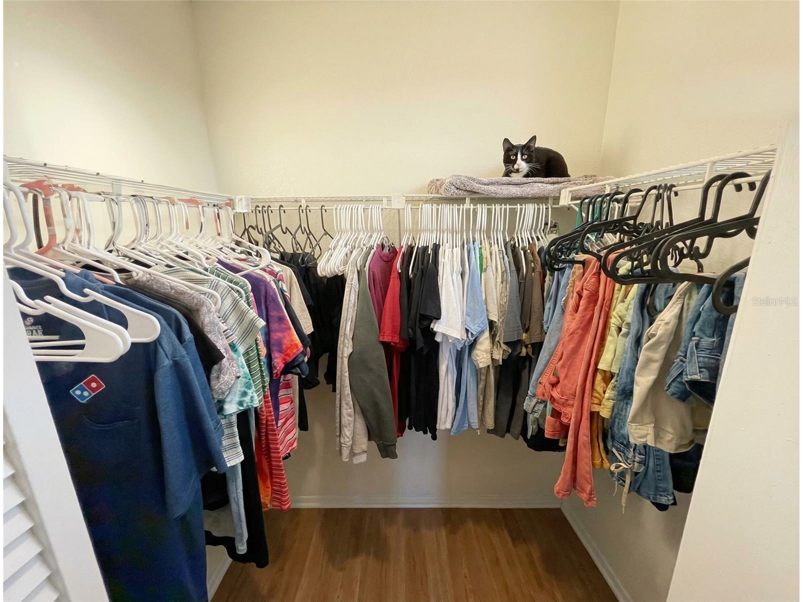 2856 Somerset Park Drive #102 Tampa FL 33613 O6371702 image16