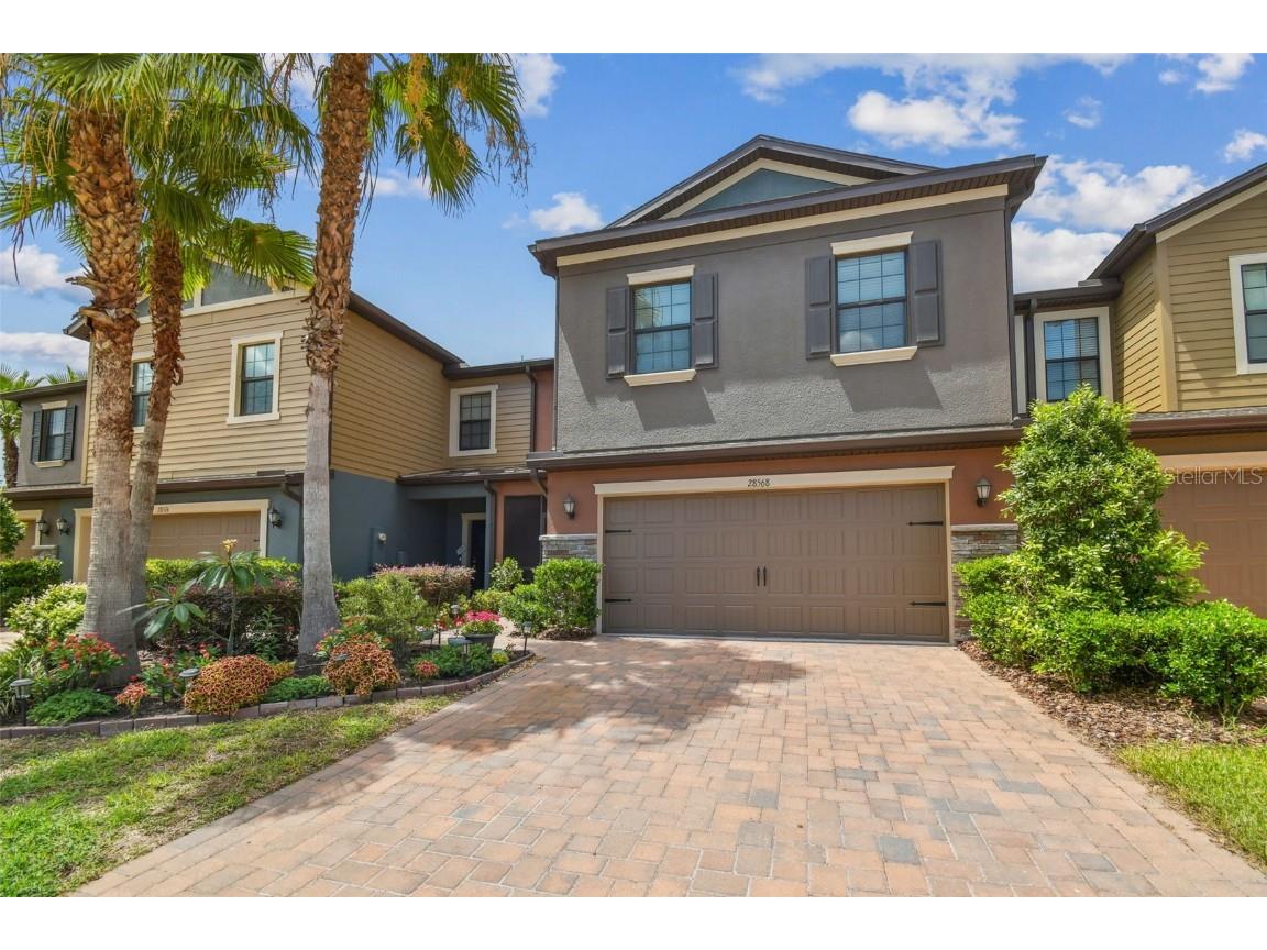 28568 Tranquil Lake Circle Wesley Chapel FL 33543 TB8397637 image1
