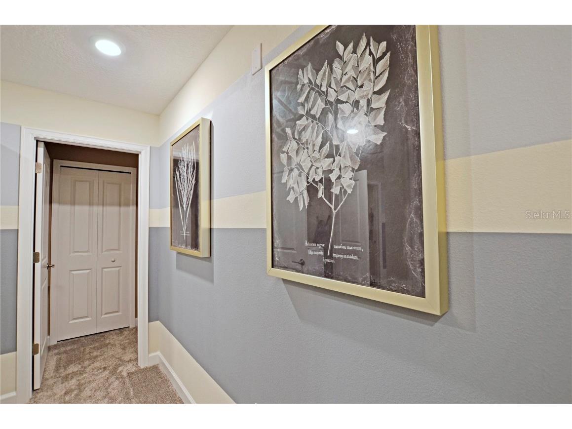 2857 Bookmark Drive Kissimmee FL 34746 T3543495 image29