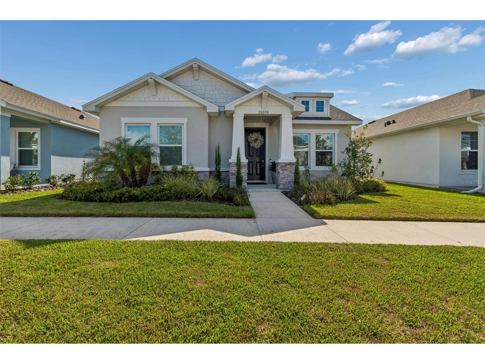 28570 Sweet Persimmon Drive Wesley Chapel FL 33543 TB8488858 image1