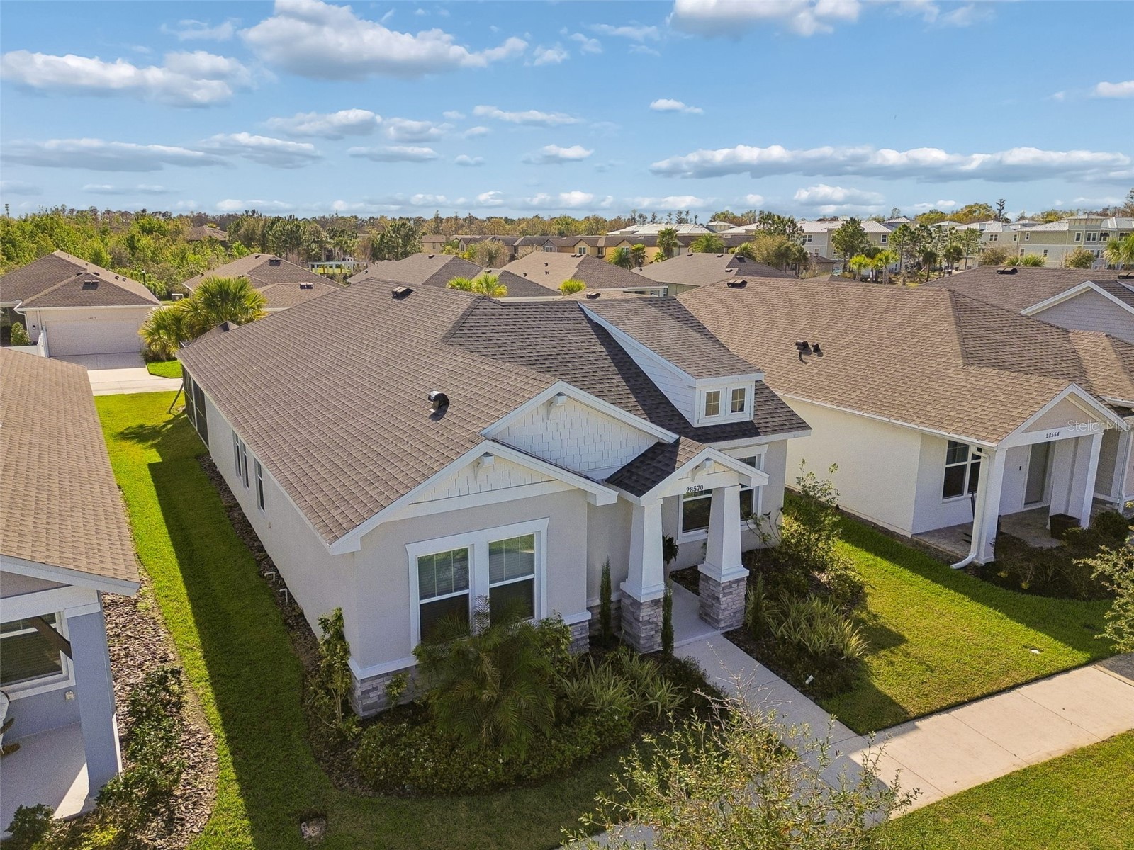 28570 Sweet Persimmon Drive Wesley Chapel FL 33543 TB8488858 image29