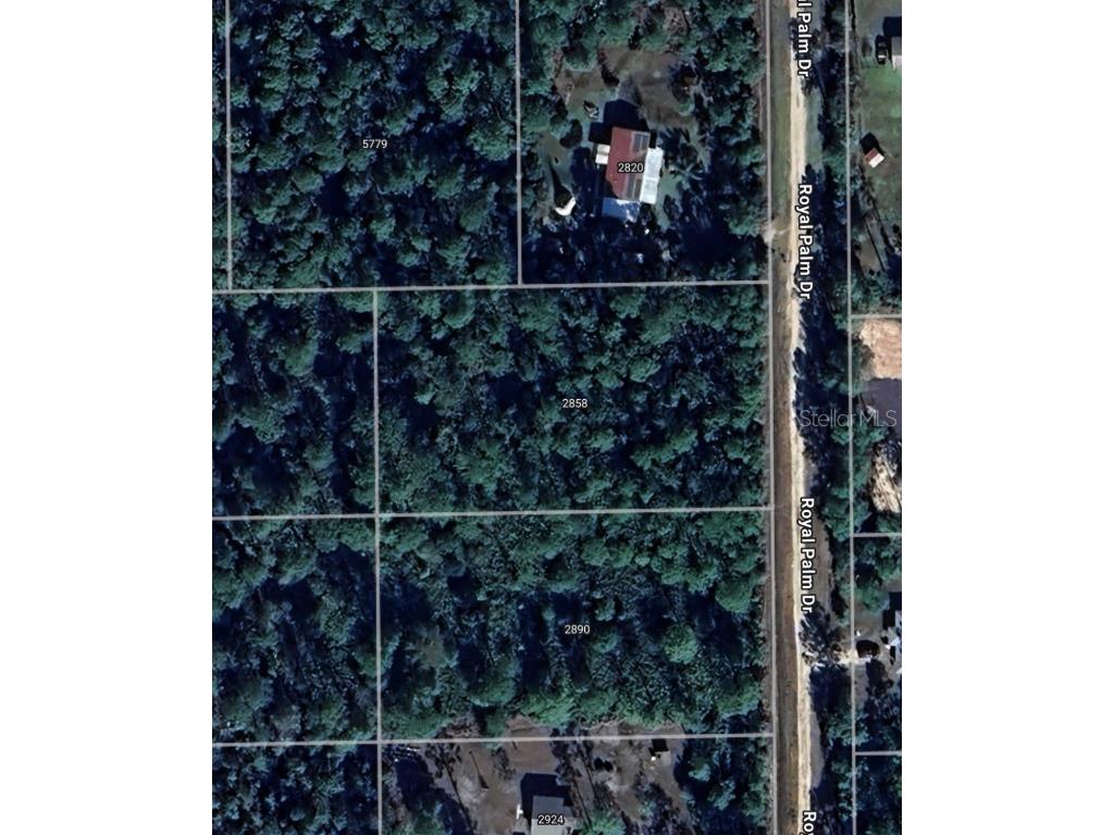 2858 Royal Palm Drive Bunnell FL 32110 O6357474 image1