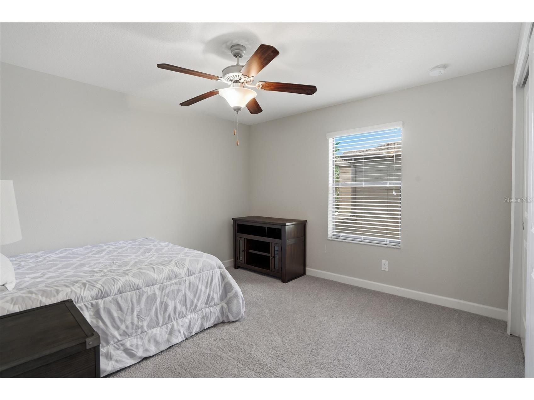 28580 Tranquil Lake Circle Wesley Chapel FL 33543 TB8508513 image19
