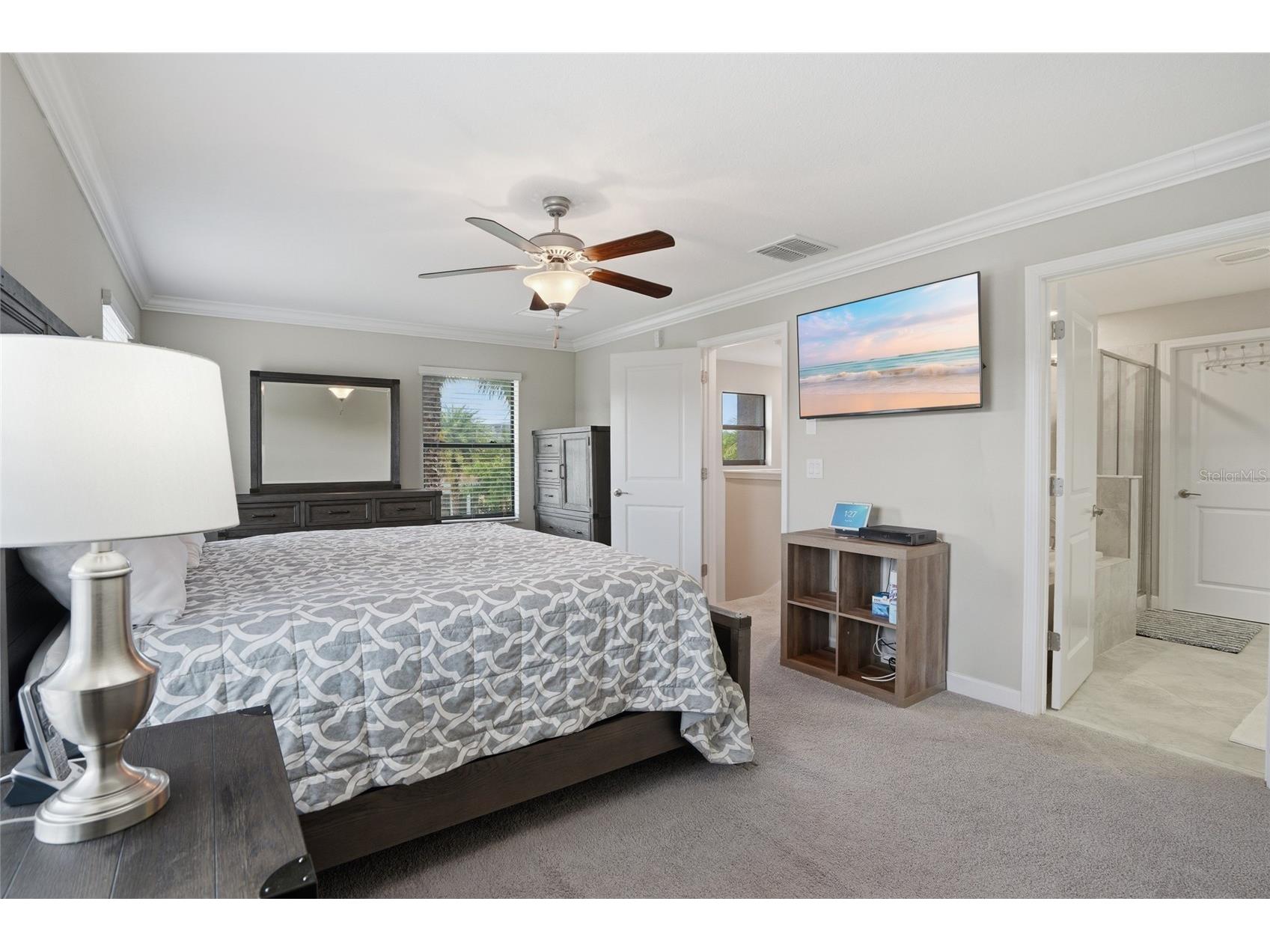 28580 Tranquil Lake Circle Wesley Chapel FL 33543 TB8508513 image22