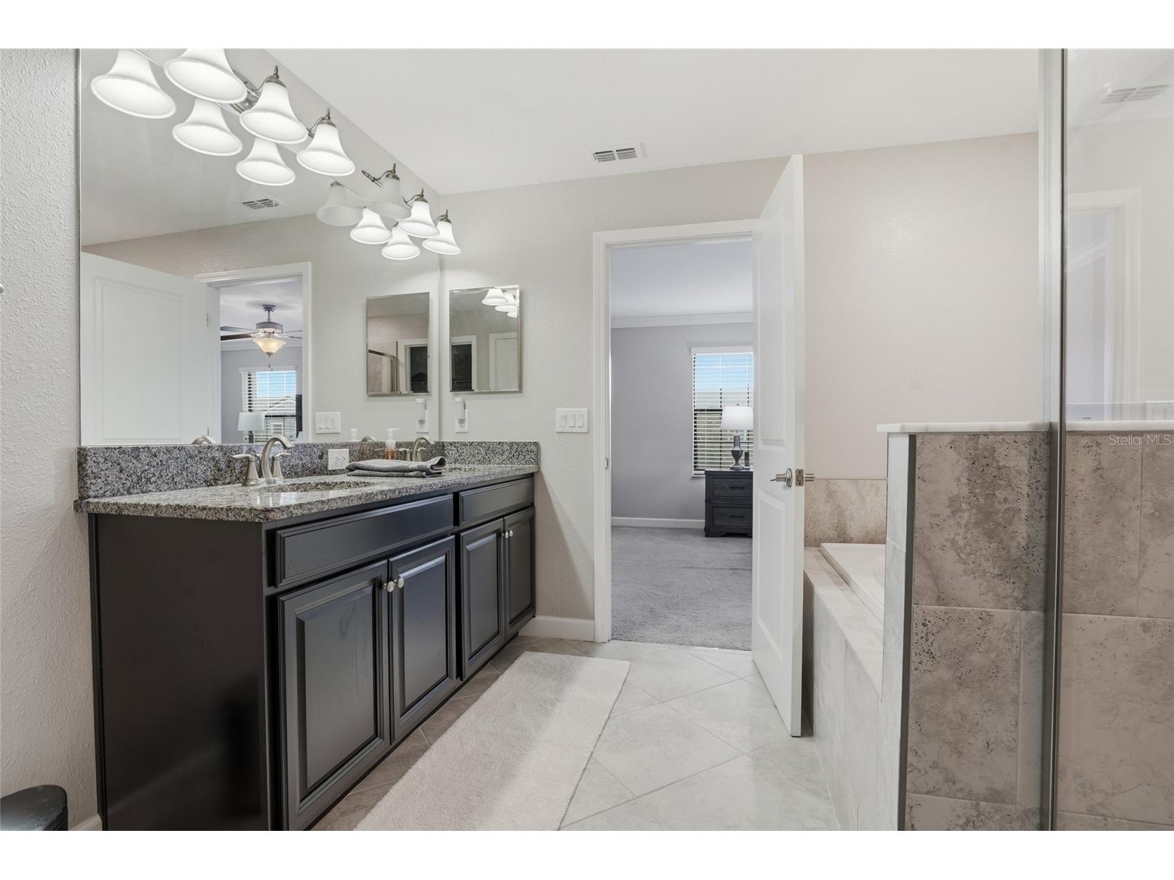 28580 Tranquil Lake Circle Wesley Chapel FL 33543 TB8508513 image24