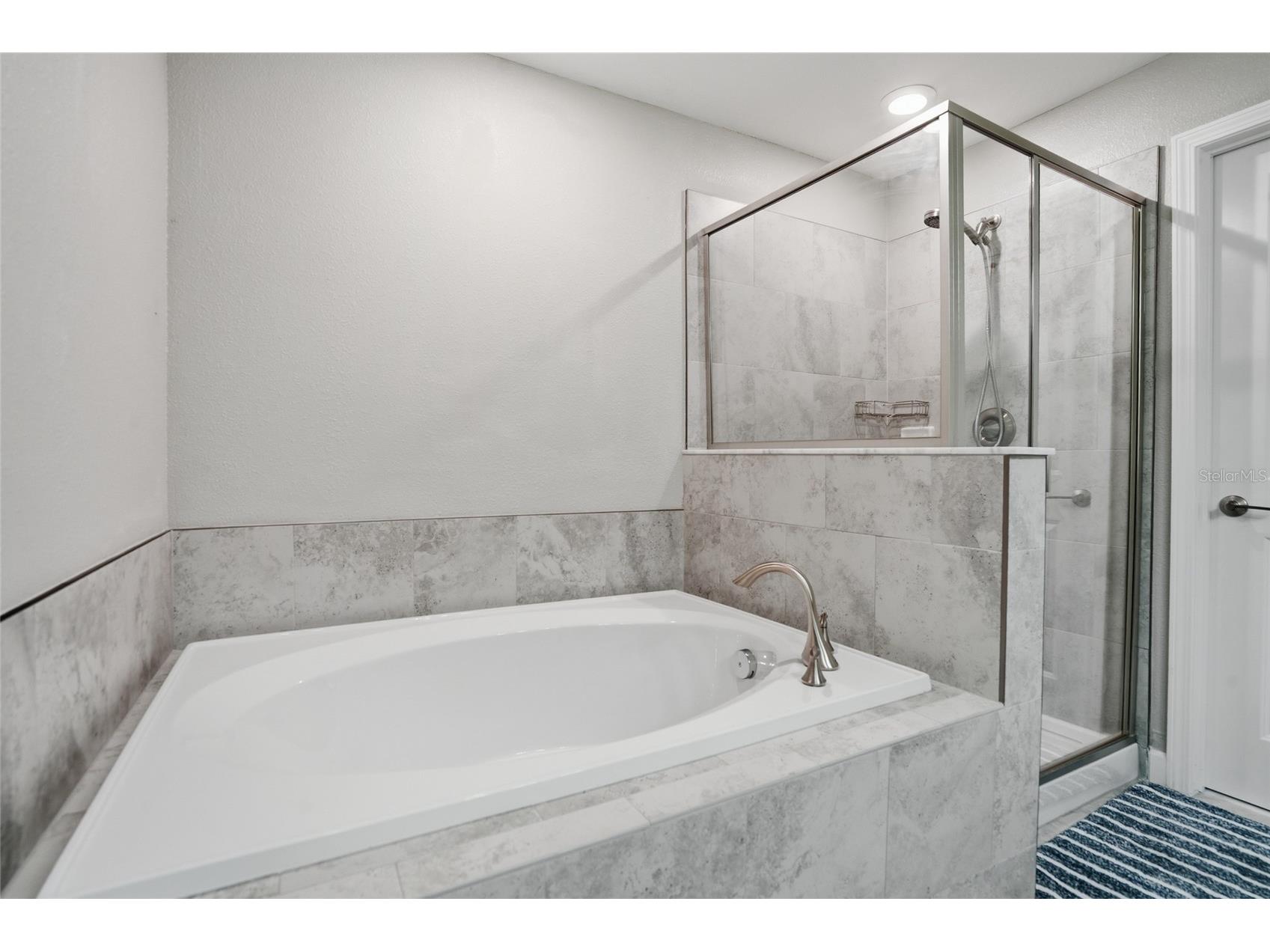28580 Tranquil Lake Circle Wesley Chapel FL 33543 TB8508513 image26