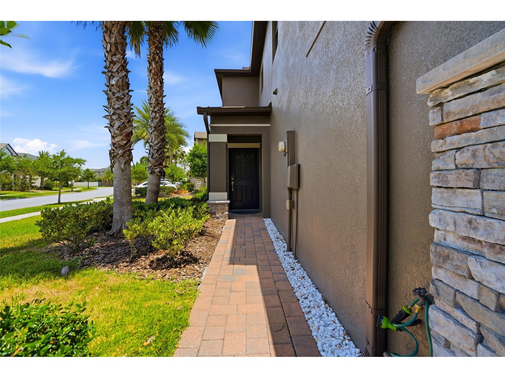 28580 Tranquil Lake Circle Wesley Chapel FL 33543 TB8508513 image4