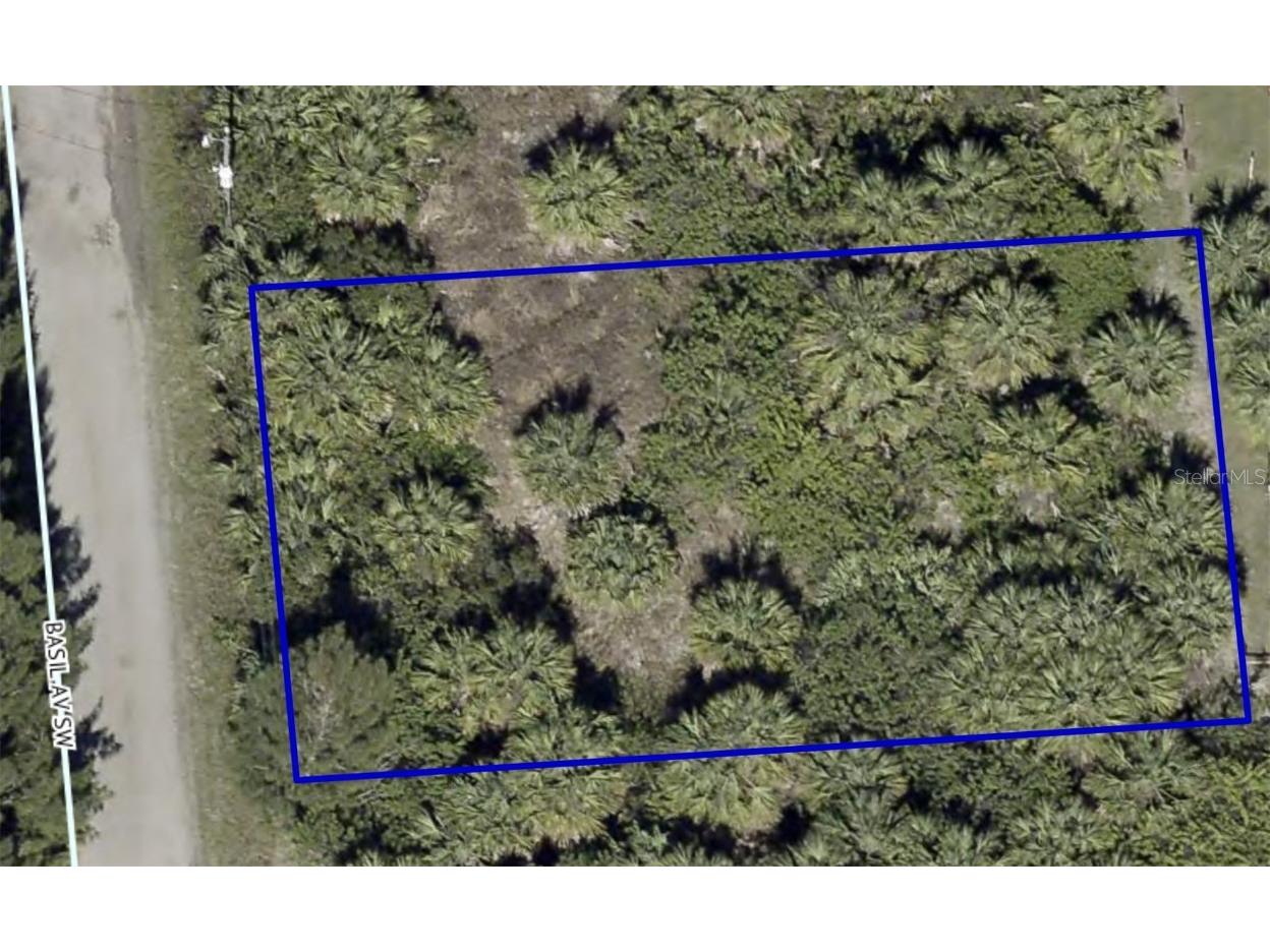 2859 Basil Avenue SW Palm Bay FL 32908 N6129796 image1