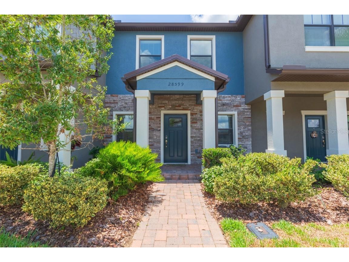28599 Tranquil Lake Circle Wesley Chapel FL 33543 T3532124 image1
