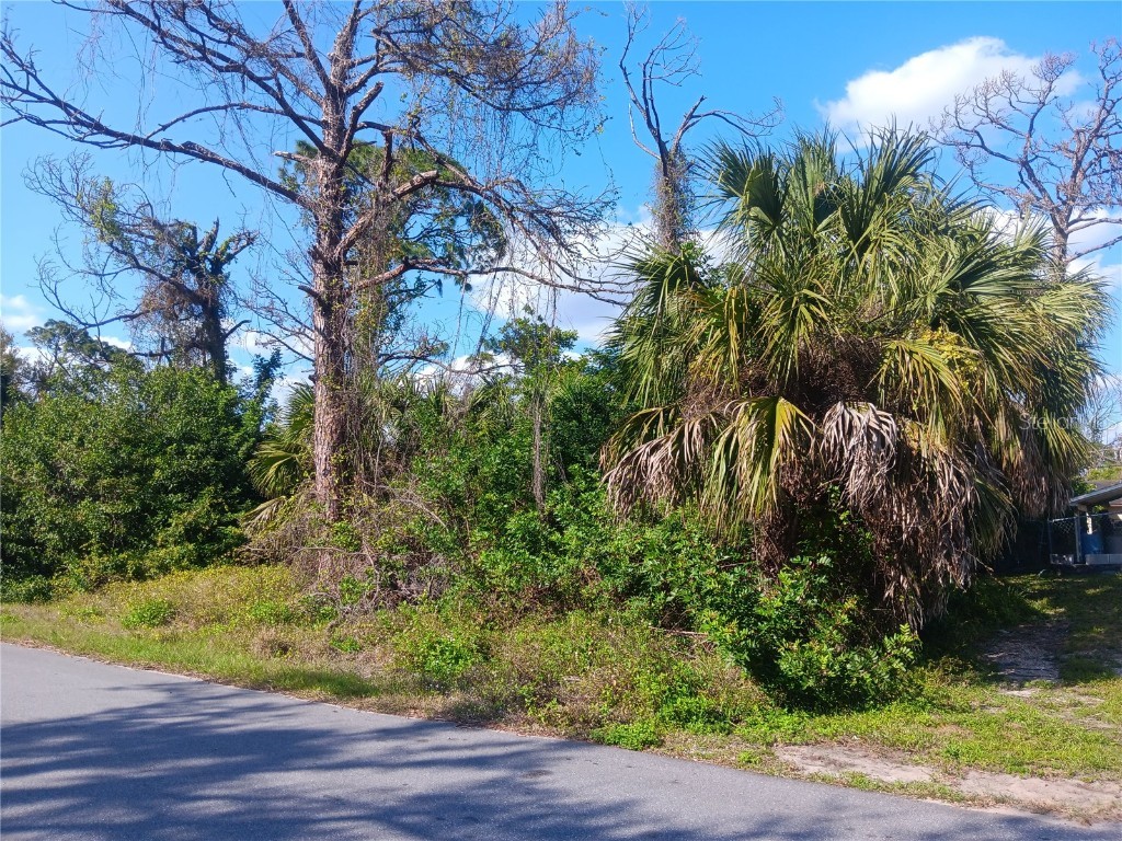 286 Bamboo Drive Port Charlotte FL 33954 A4599460 image1