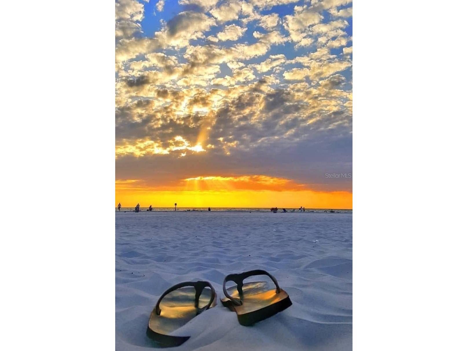 286 Daylily Boulevard Nokomis FL 34275 - VENICE WOODLANDS LAKE C7523514 image96