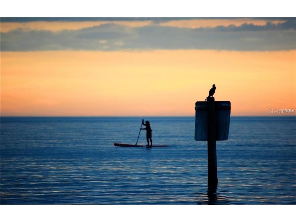 286 Daylily Boulevard Nokomis FL 34275 - VENICE WOODLANDS LAKE C7523514 image97