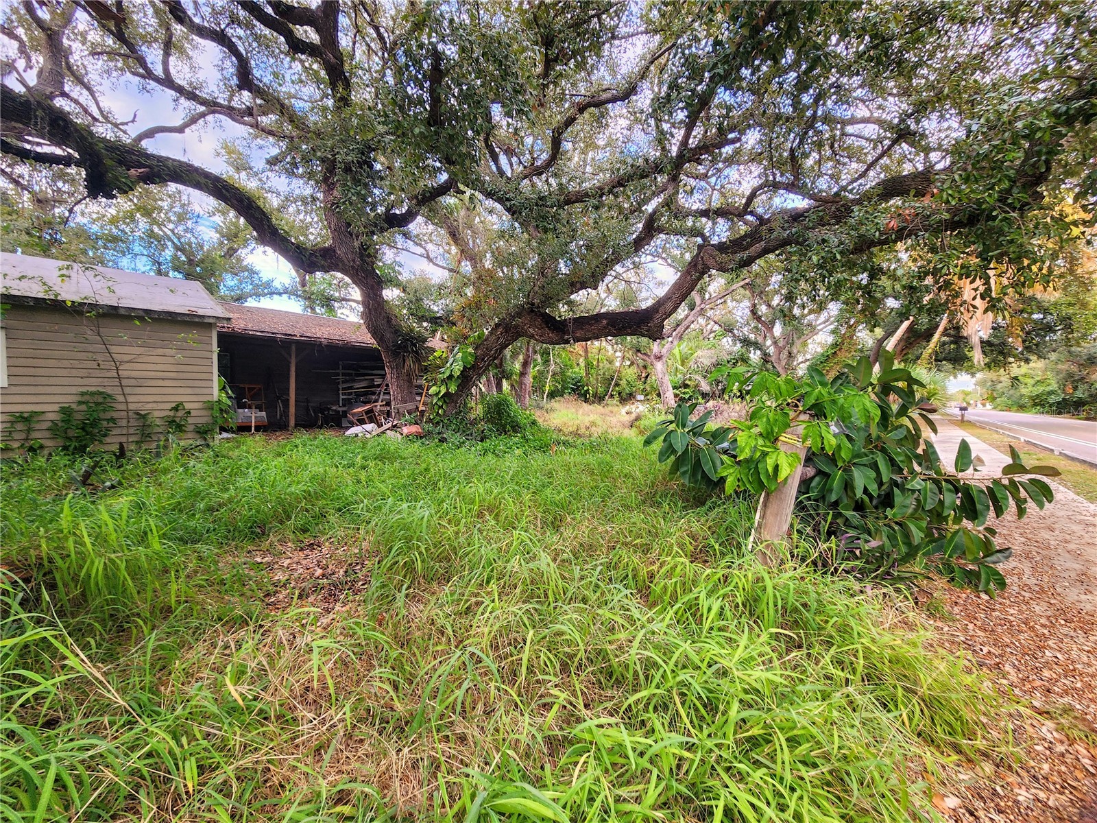 286 Shamrock Drive Venice FL 34293 N6141807 image75