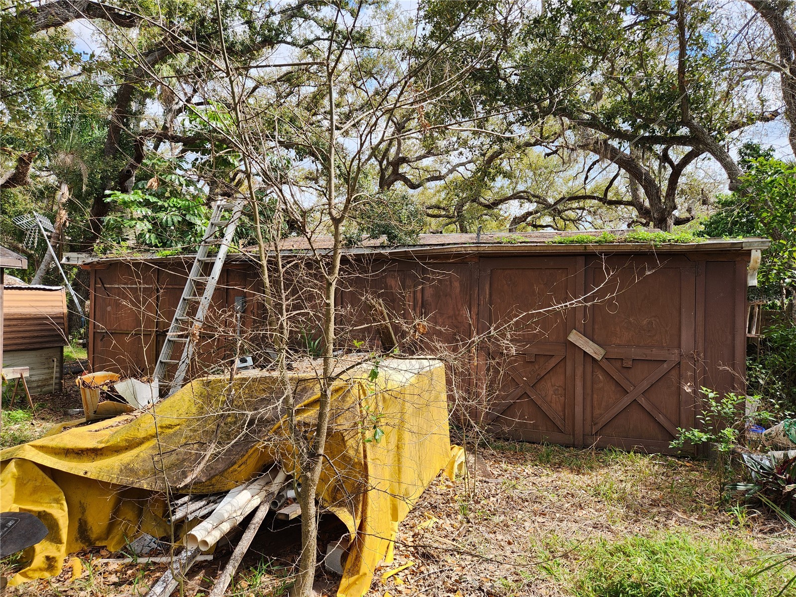 286 Shamrock Drive Venice FL 34293 N6141807 image77