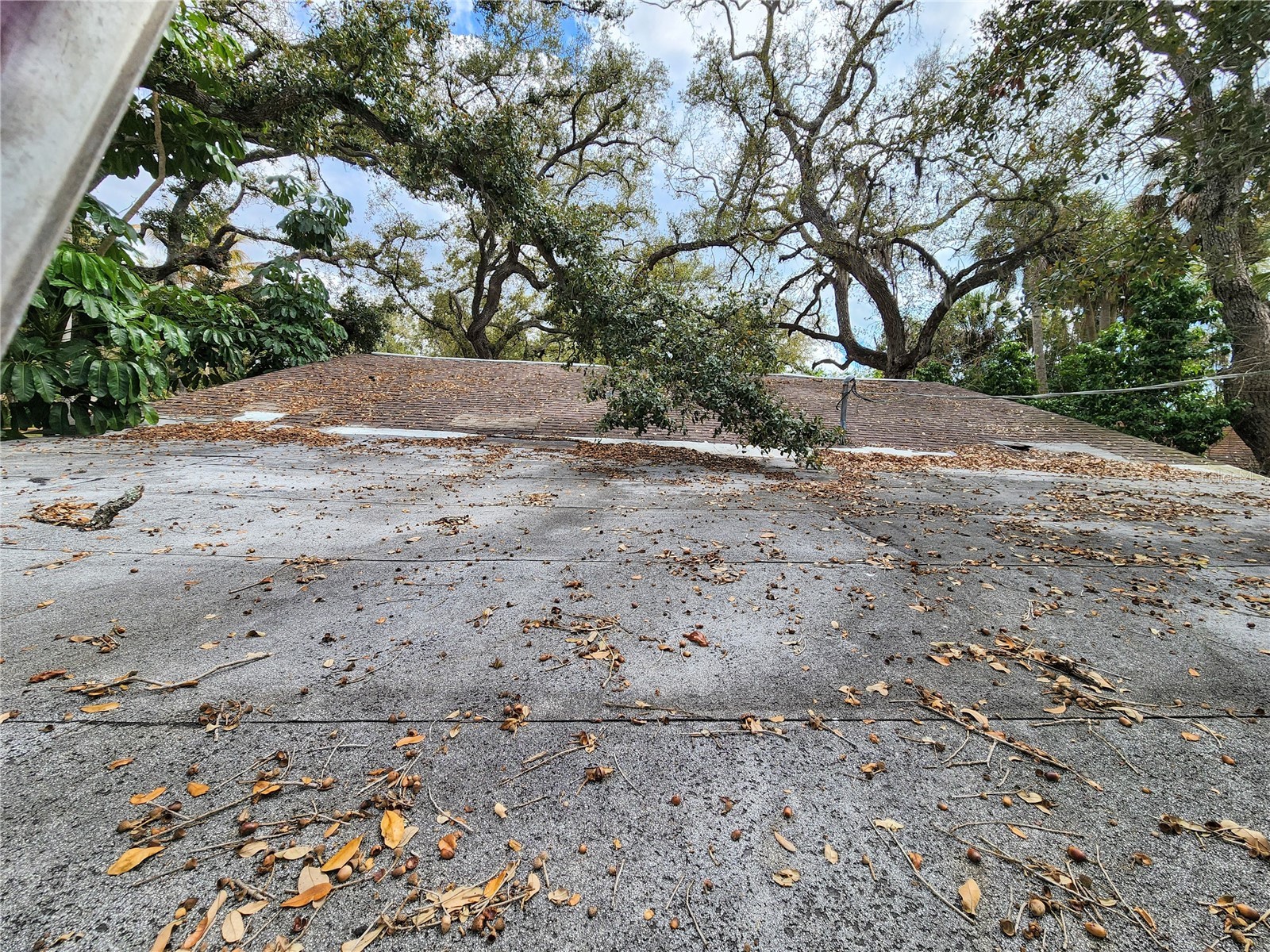 286 Shamrock Drive Venice FL 34293 N6141807 image81