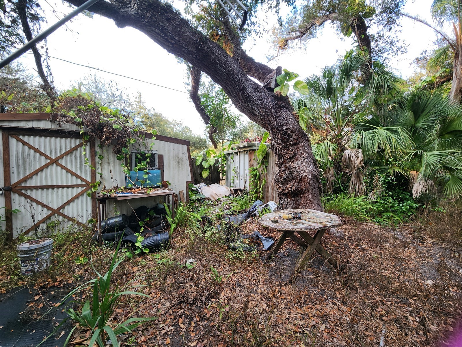 286 Shamrock Drive Venice FL 34293 N6141807 image82