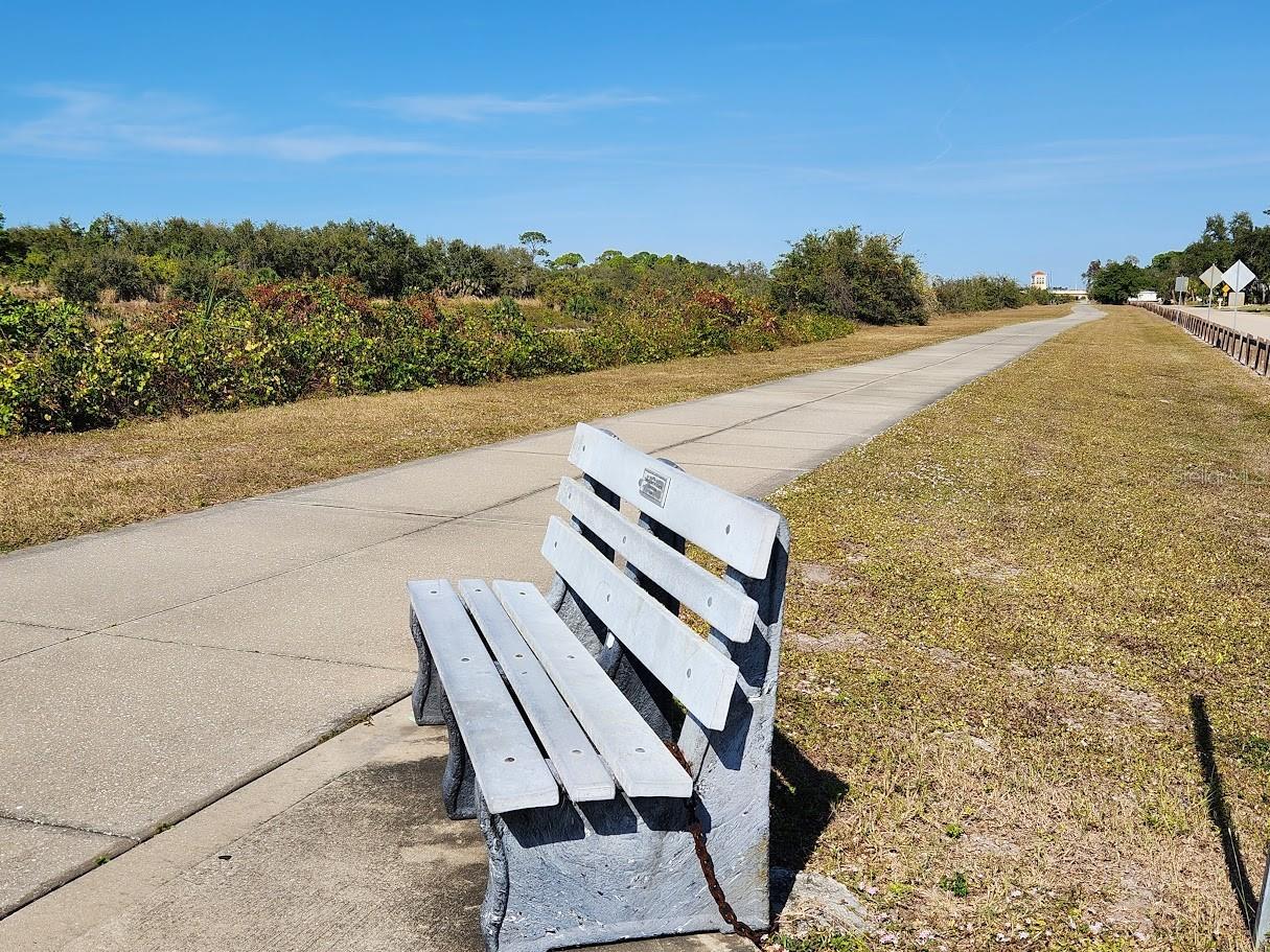 286 Shamrock Drive Venice FL 34293 N6141807 image91