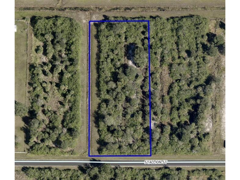 286 Stallion Street Palm Bay FL 32909 O6175762 image1