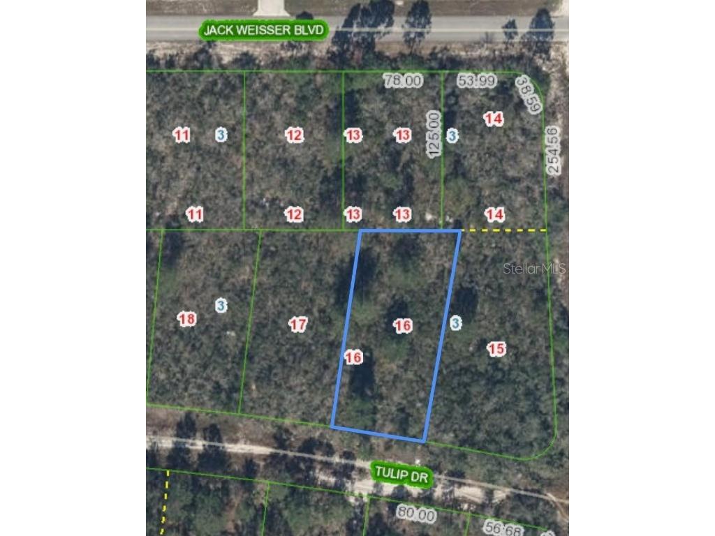 286 Tulip Drive Lake Placid FL 33852 P4936198 image1