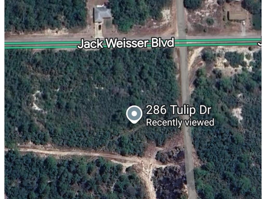 286 Tulip Drive Lake Placid FL 33852 P4936198 image2