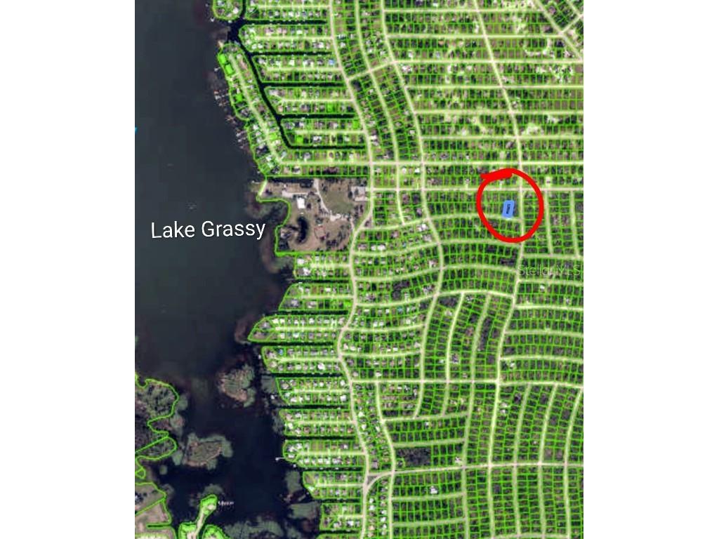 286 Tulip Drive Lake Placid FL 33852 P4936198 image4