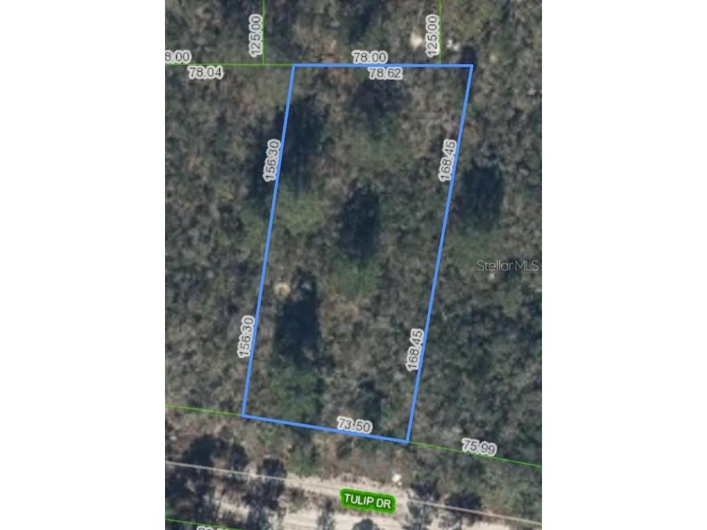 286 Tulip Drive Lake Placid FL 33852 P4936198 image6