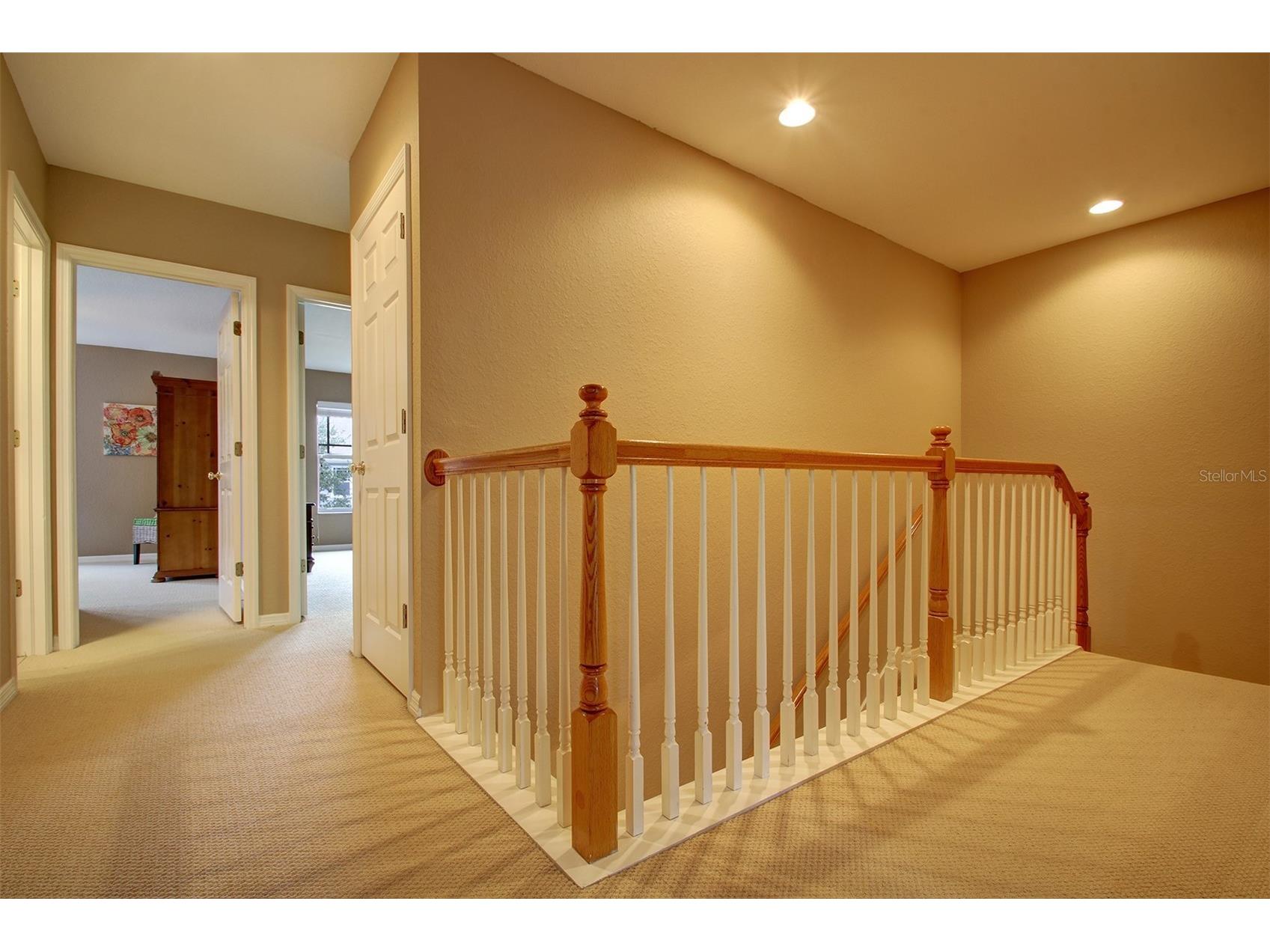 2860 Bayshore Trails Drive Tampa FL 33611 TB8509997 image11