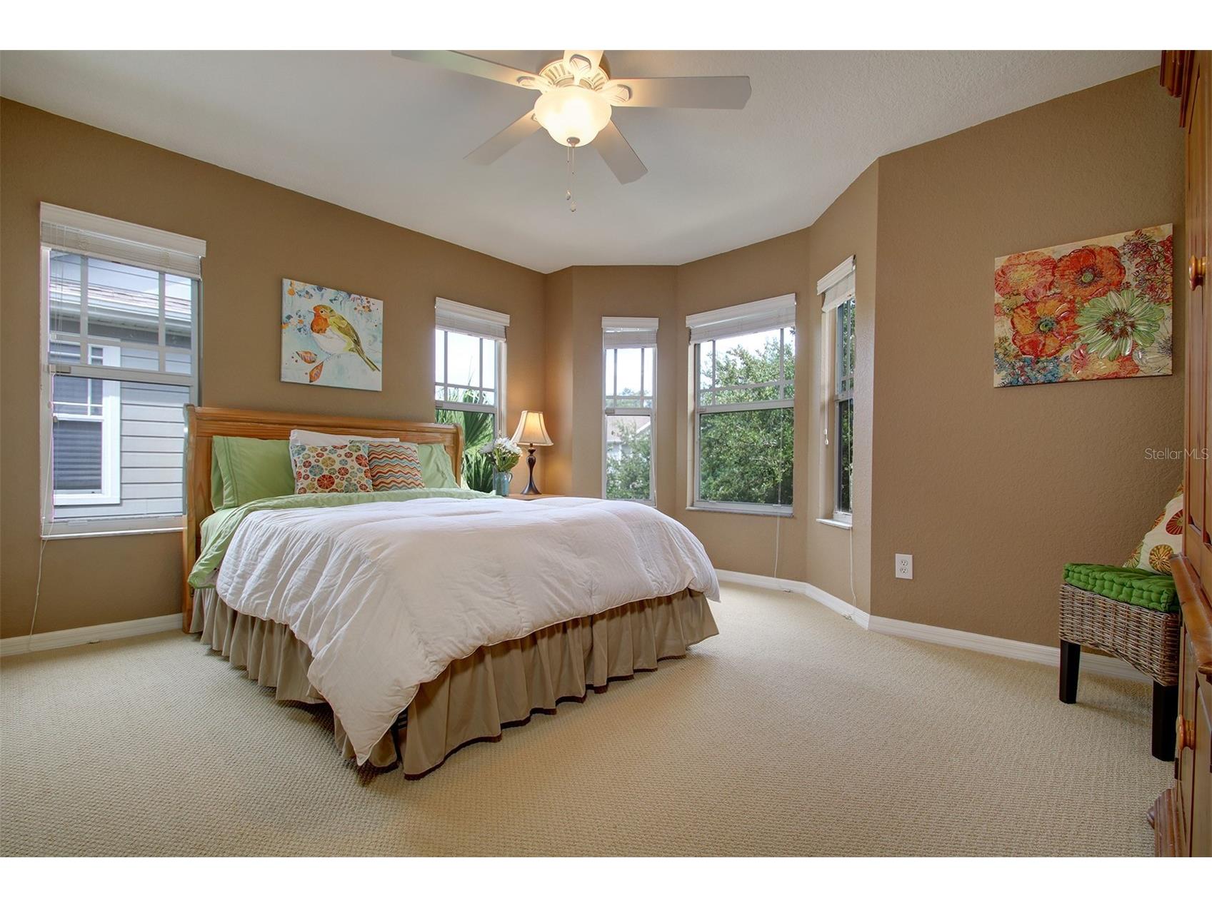 2860 Bayshore Trails Drive Tampa FL 33611 TB8509997 image12