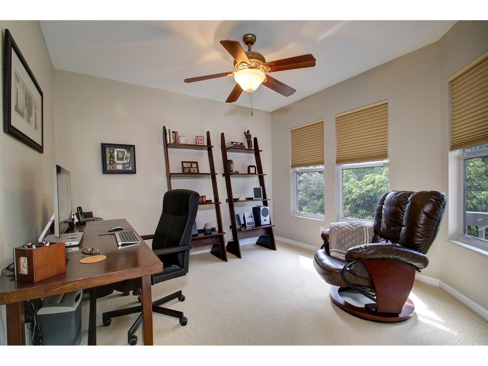 2860 Bayshore Trails Drive Tampa FL 33611 TB8509997 image13