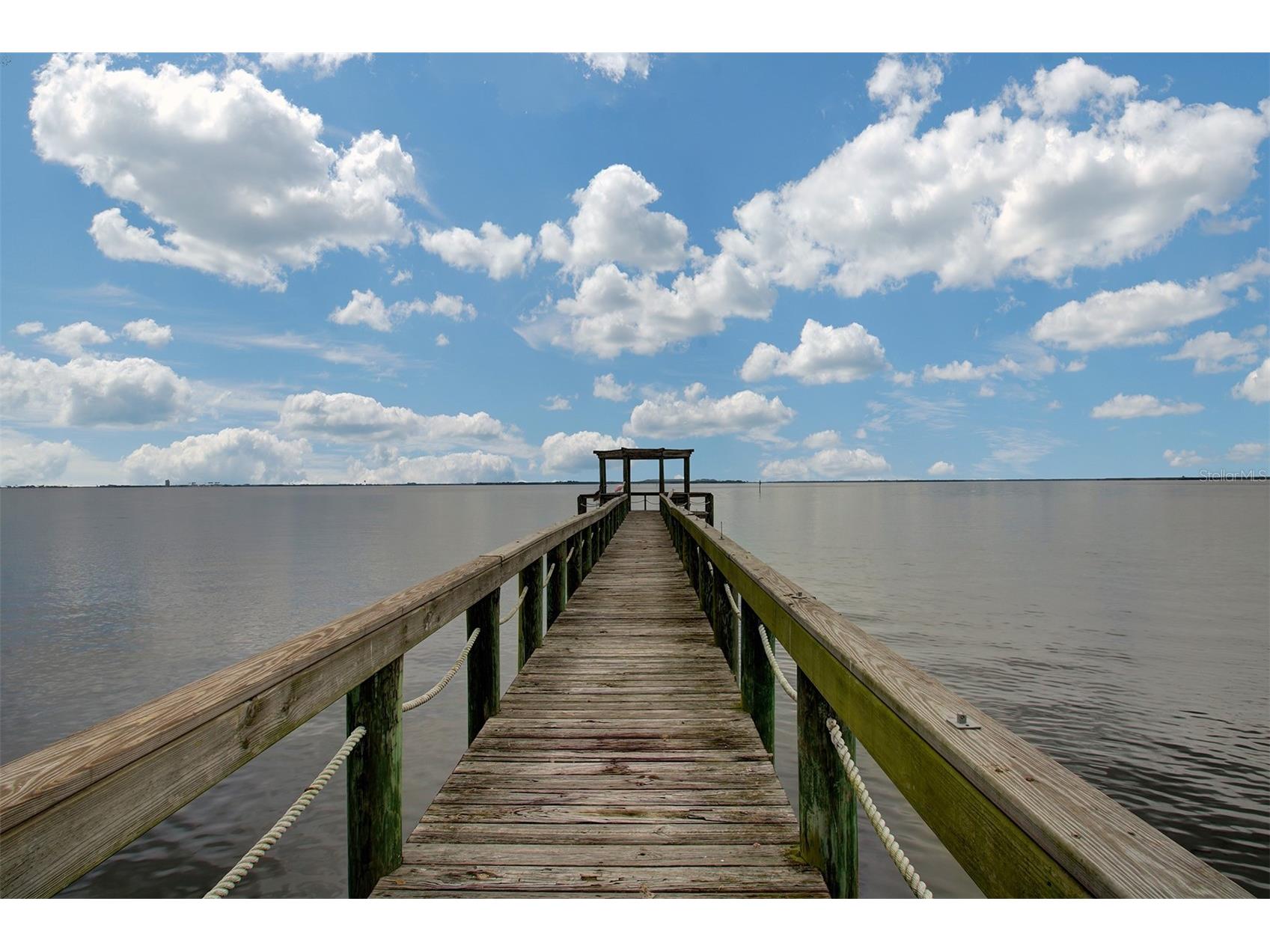 2860 Bayshore Trails Drive Tampa FL 33611 TB8509997 image20