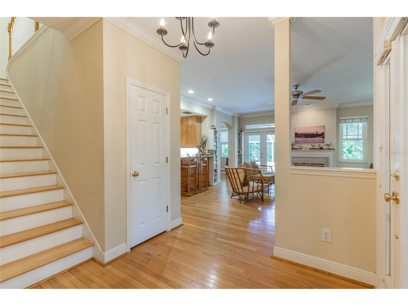 2860 Bayshore Trails Drive Tampa FL 33611 TB8509997 image3