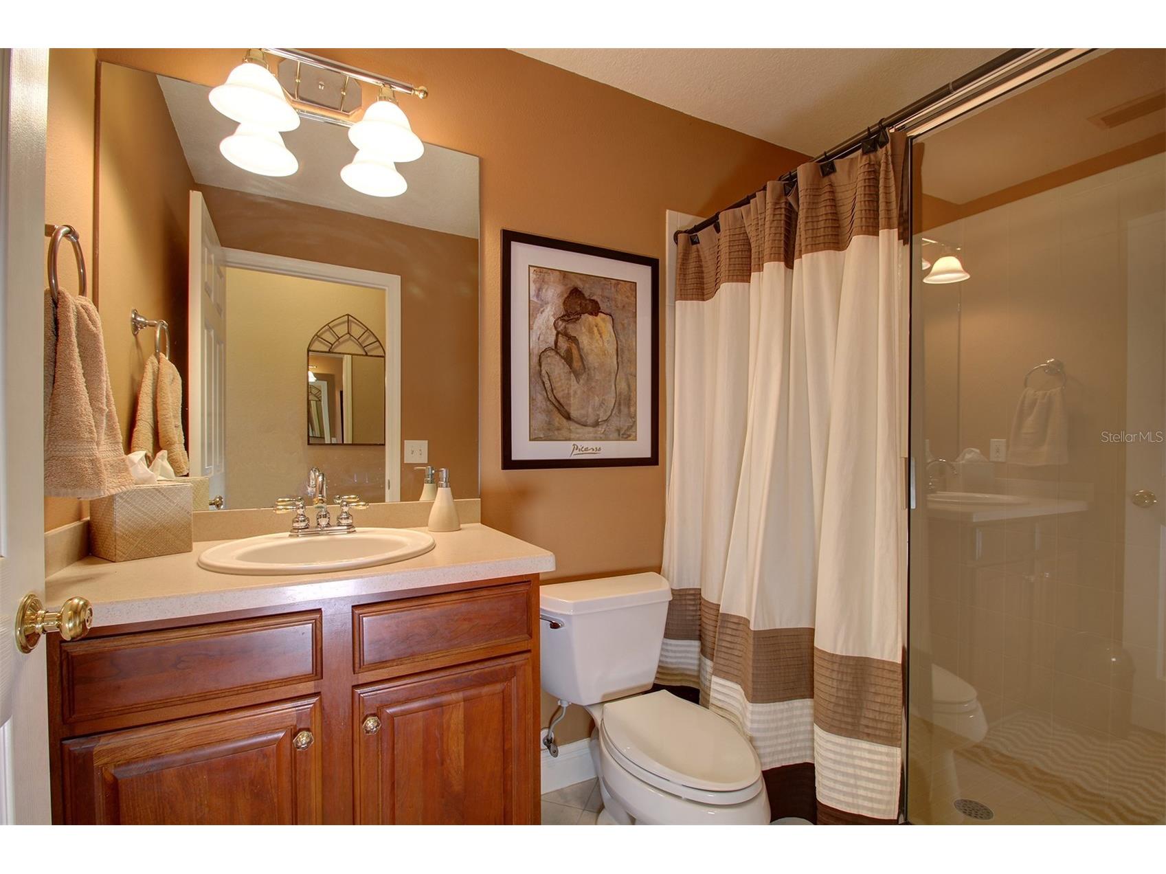 2860 Bayshore Trails Drive Tampa FL 33611 TB8509997 image9