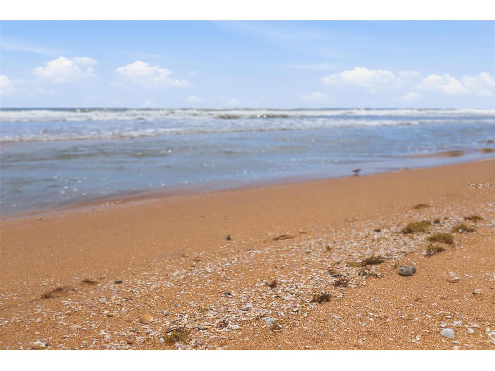 2860 Ocean Shore Boulevard #3030 Ormond Beach FL 32176 V4945332 image45