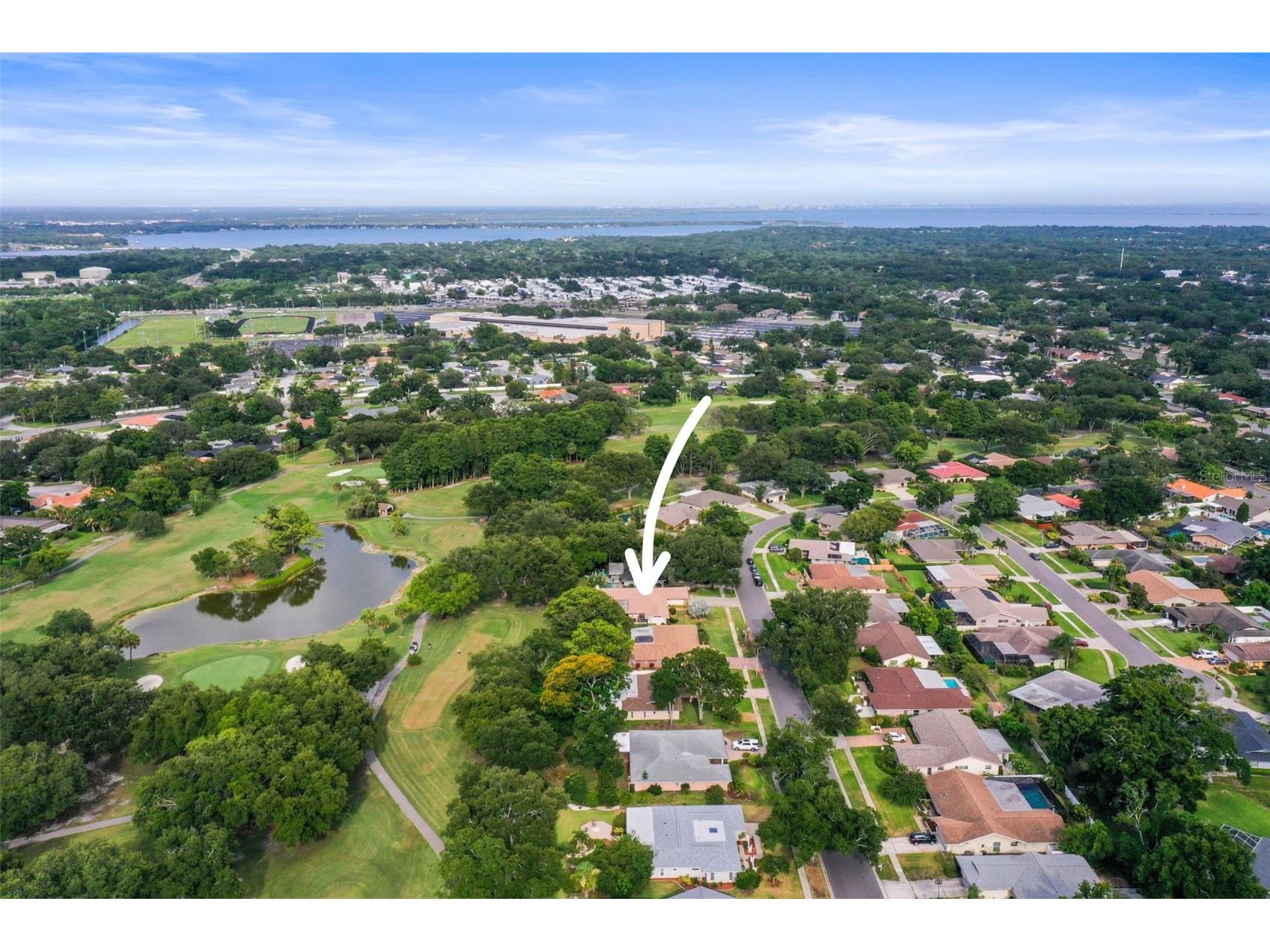 2860 Quail Hollow Road W Clearwater FL 33761 - LAKE ON #5 PINE COURSE TB8520420 image66