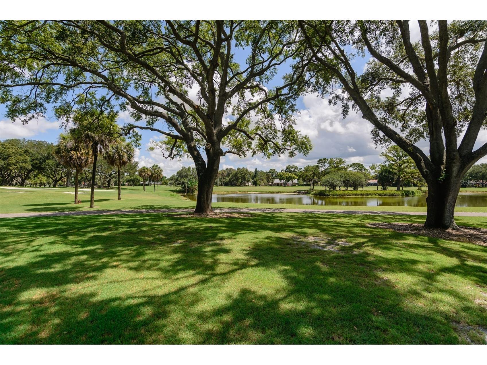 2860 Quail Hollow Road W Clearwater FL 33761 - LAKE ON #5 PINE COURSE TB8520420 image69