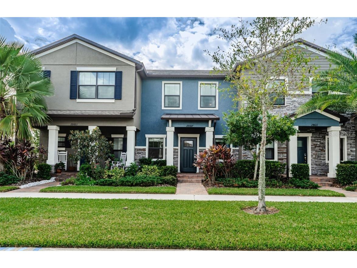 28607 Tranquil Lake Circle Wesley Chapel FL 33543 T3474851 image1