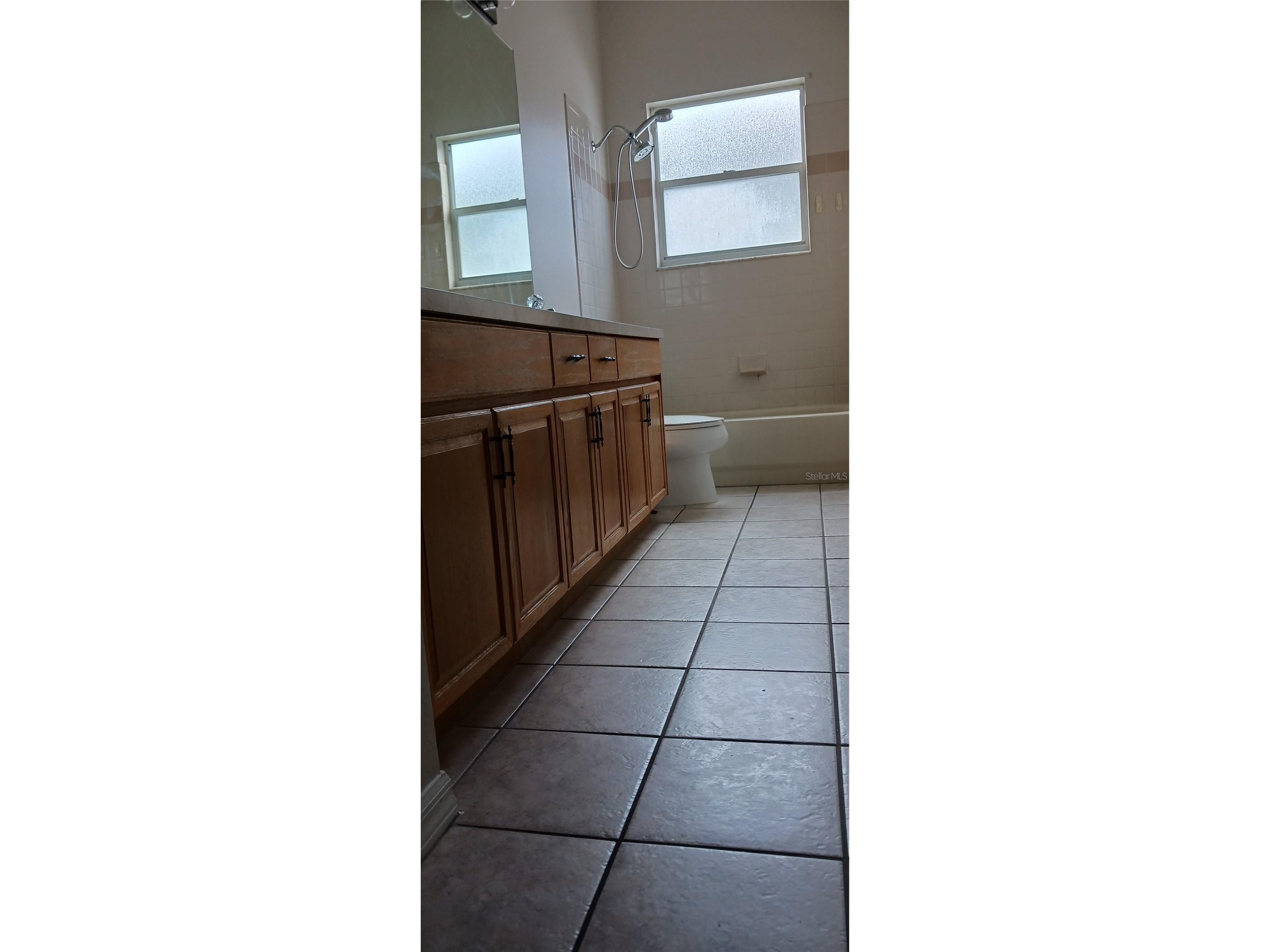 28609 Falling Leaves Wesley Chapel FL 33543 TB8505027 image20