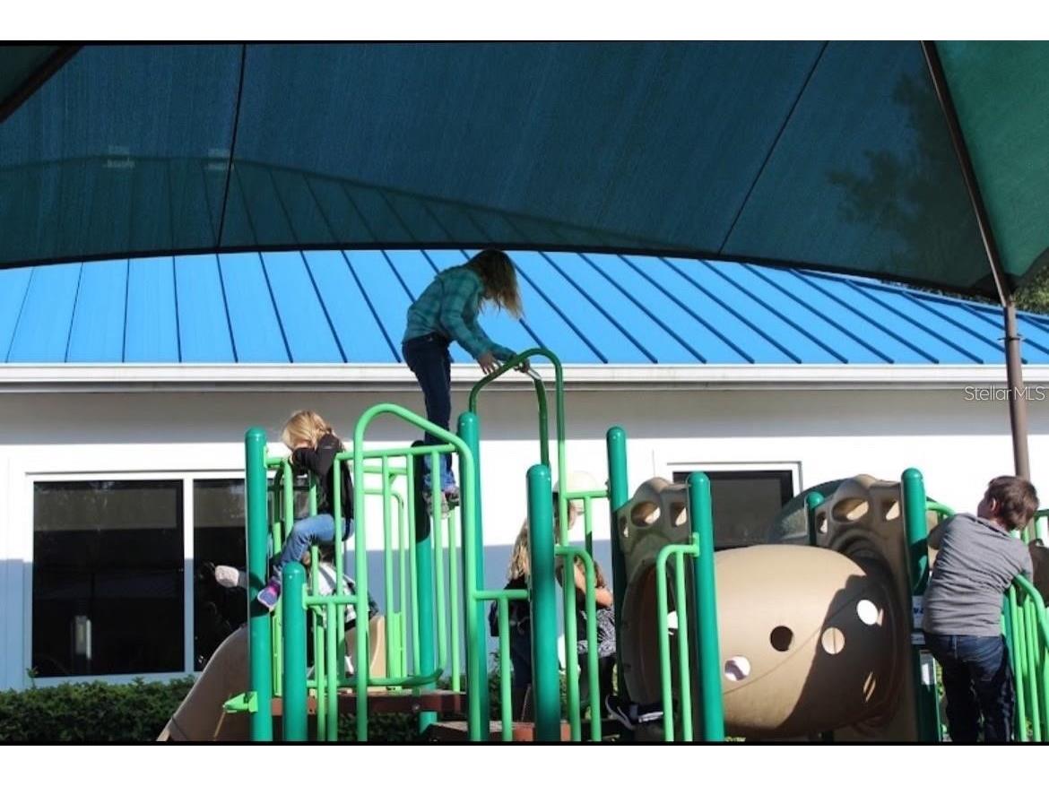 28609 Falling Leaves Wesley Chapel FL 33543 TB8505027 image25