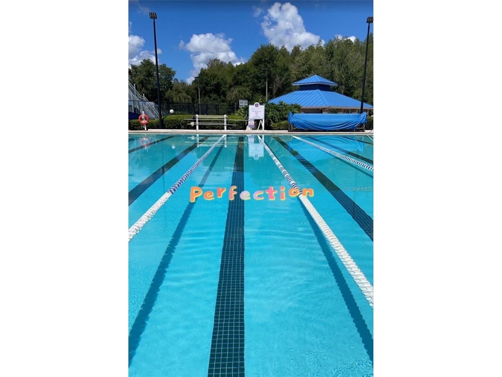 28609 Falling Leaves Wesley Chapel FL 33543 TB8505027 image26