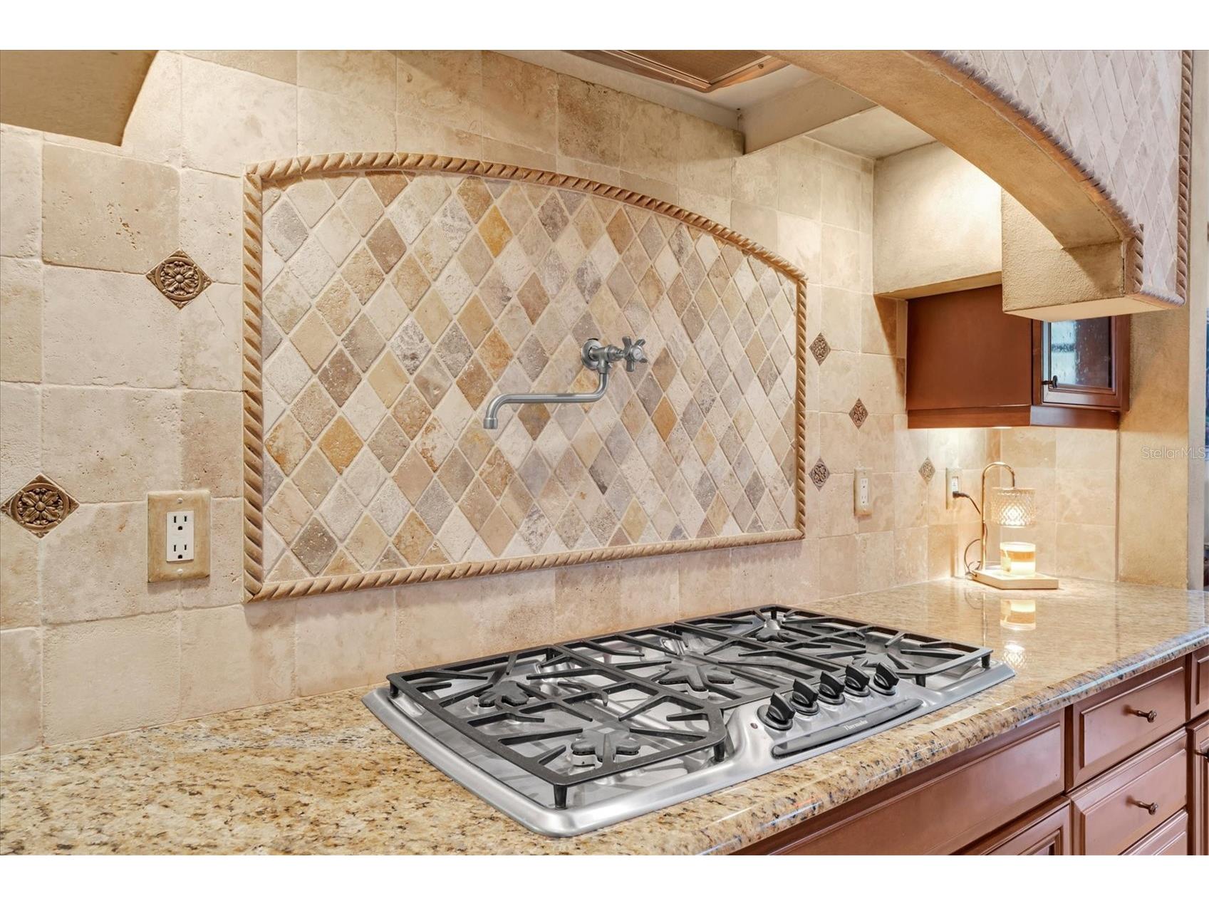 2861 Roehampton Close Tarpon Springs FL 34688 W7879852 image16