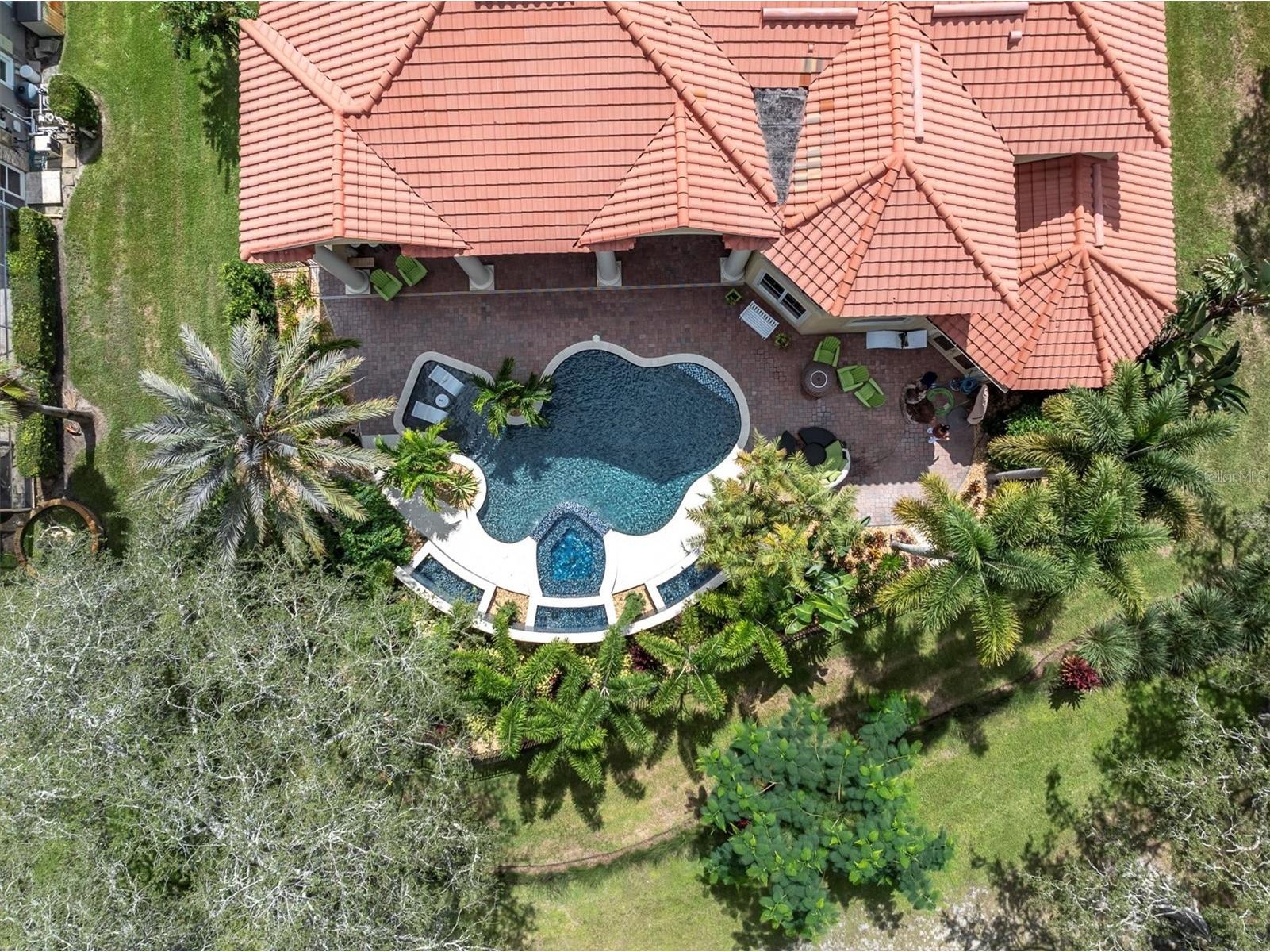 2861 Roehampton Close Tarpon Springs FL 34688 W7879852 image2
