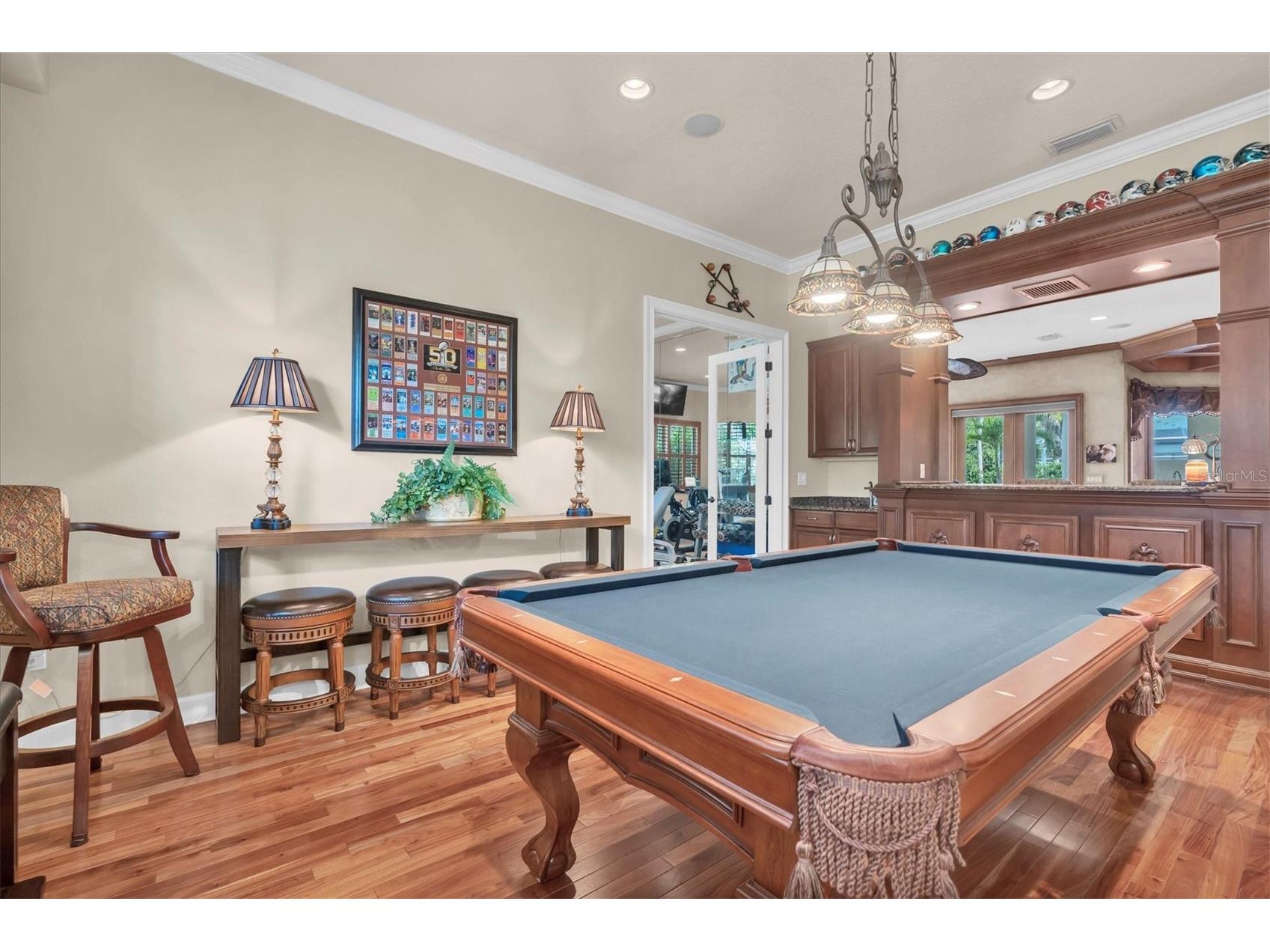 2861 Roehampton Close Tarpon Springs FL 34688 W7879852 image23
