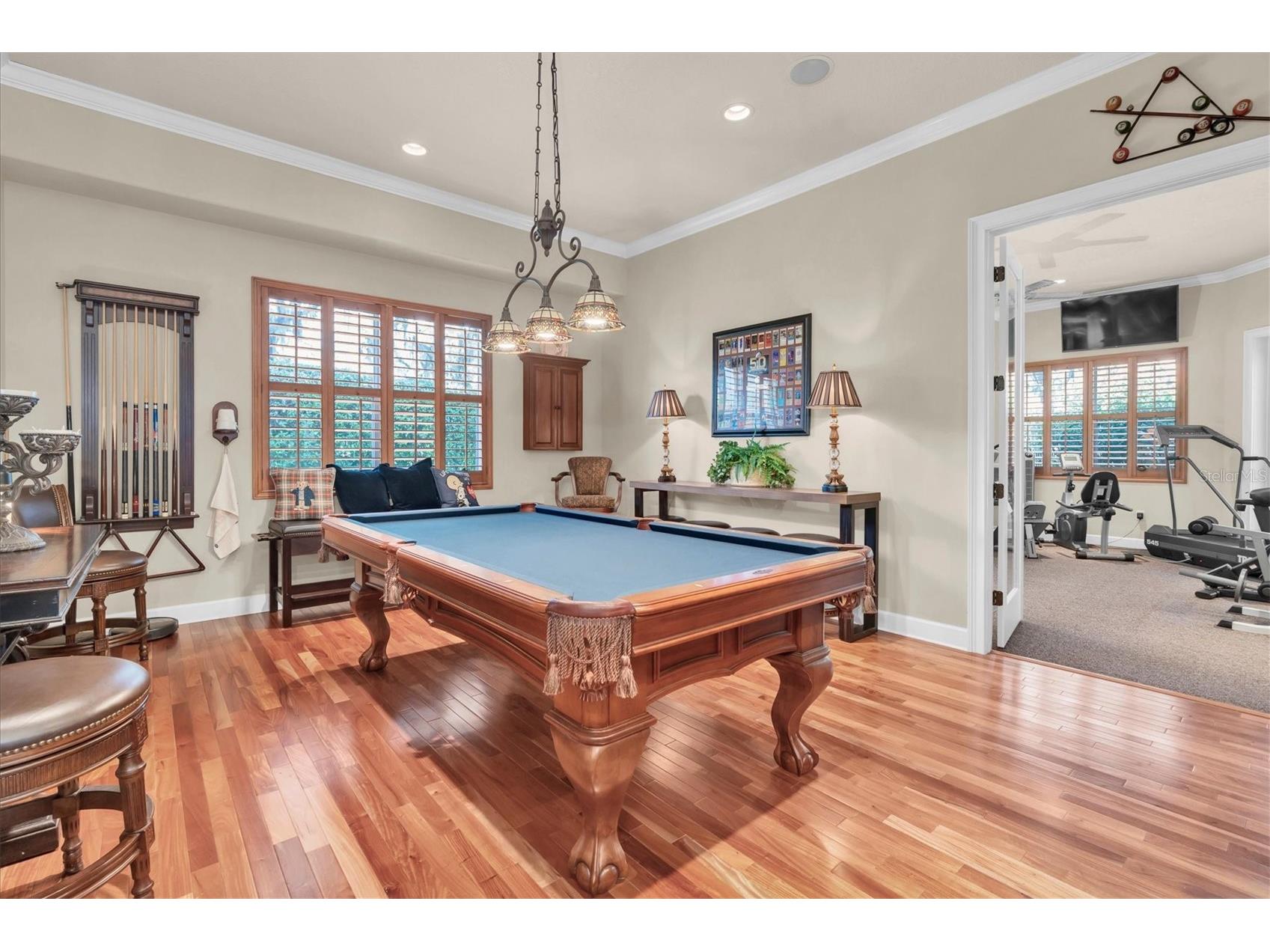 2861 Roehampton Close Tarpon Springs FL 34688 W7879852 image26