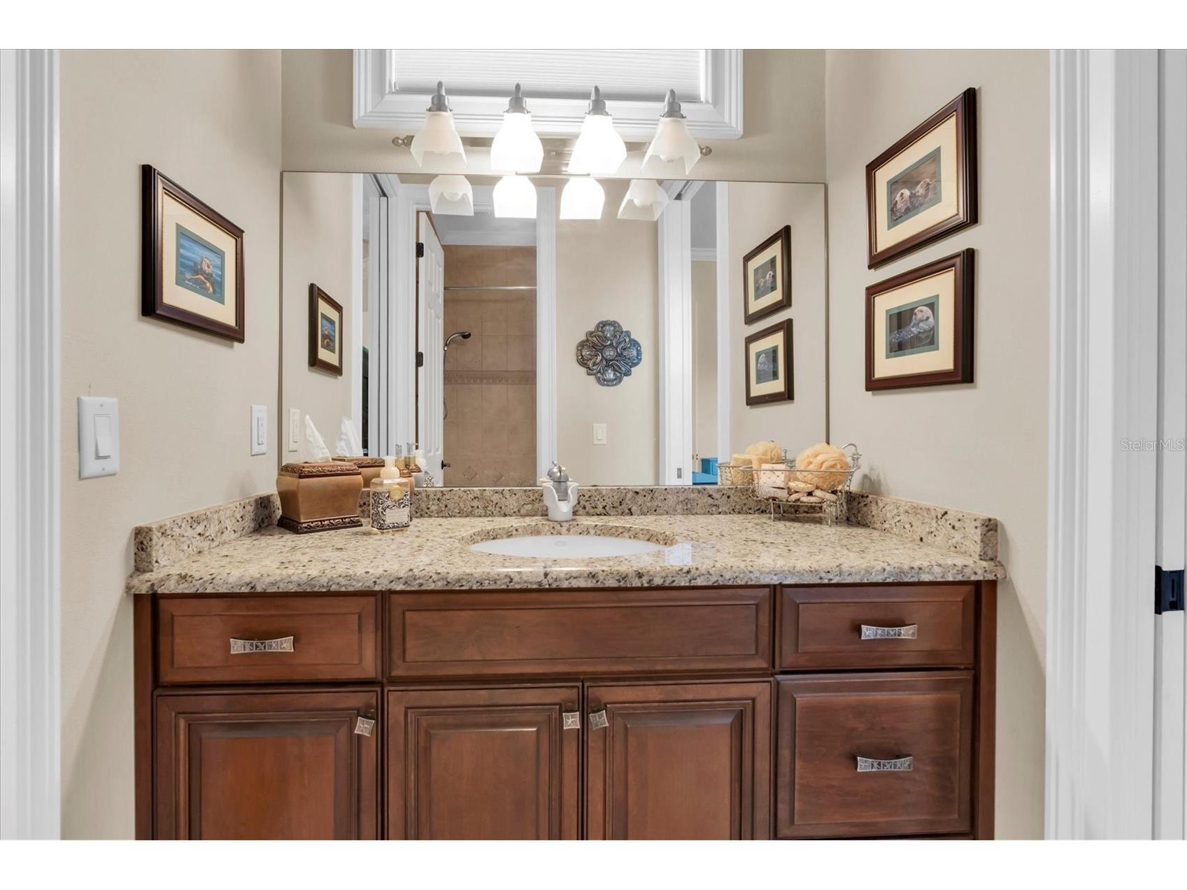 2861 Roehampton Close Tarpon Springs FL 34688 W7879852 image50