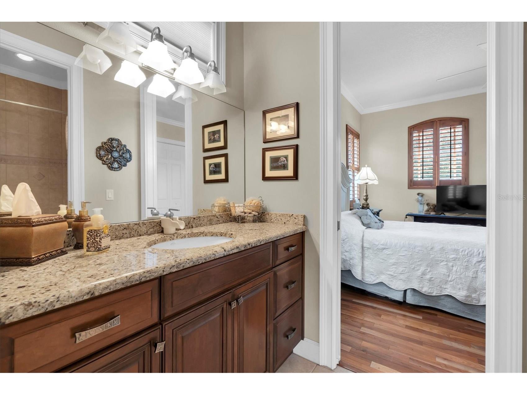 2861 Roehampton Close Tarpon Springs FL 34688 W7879852 image51