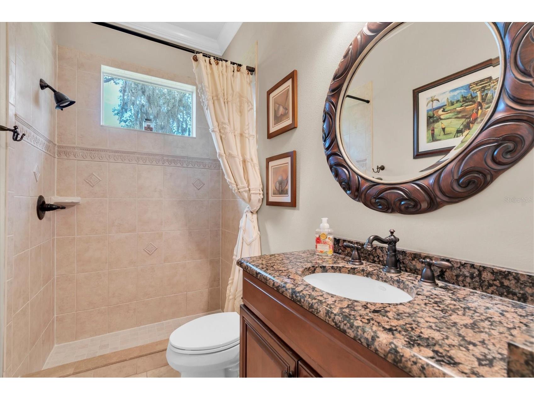 2861 Roehampton Close Tarpon Springs FL 34688 W7879852 image55